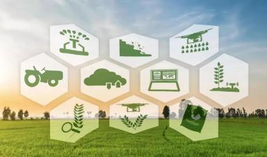 借鑒國際經驗 加快我國智慧農業(yè)發(fā)展